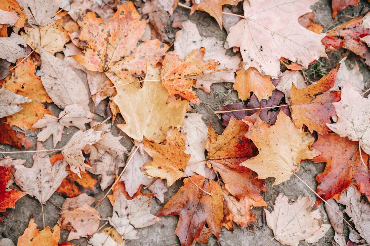 Los mejores perfumes de otoño para hombre