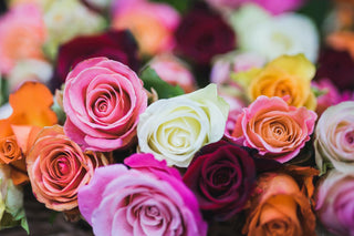 Las rosas son una de las flores más utilizadas en el mundo de la perfumería