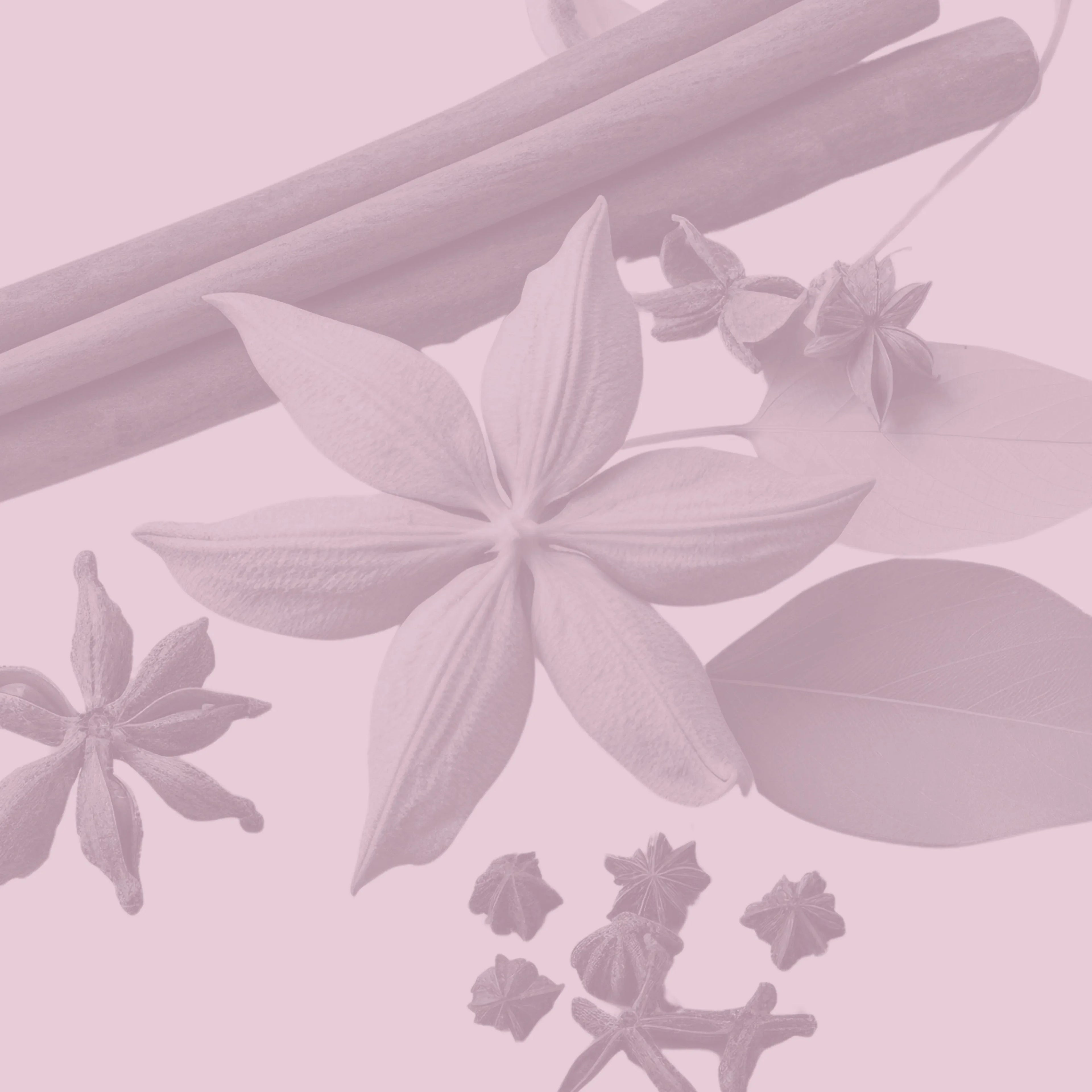 Perfumes orientales