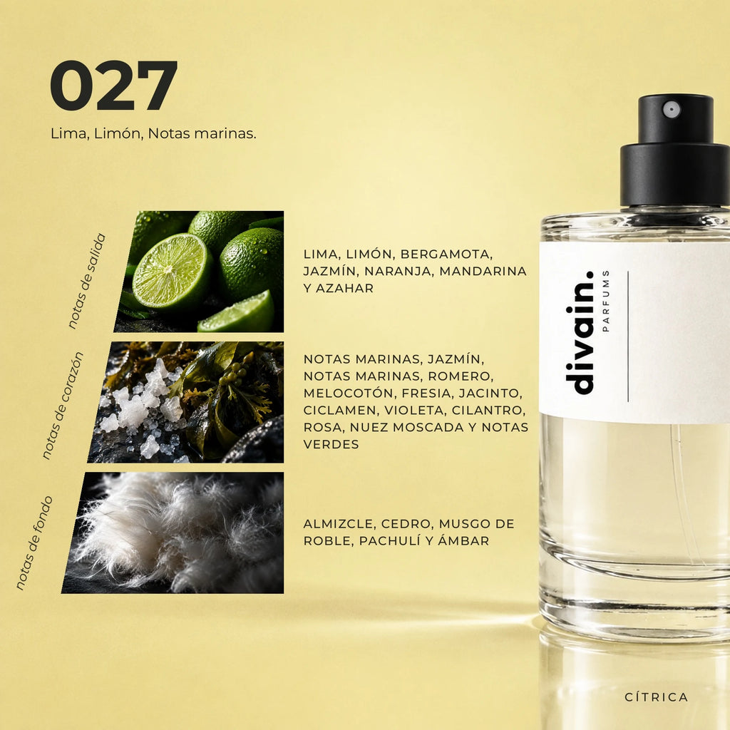 divain.027 fragrance pyramid