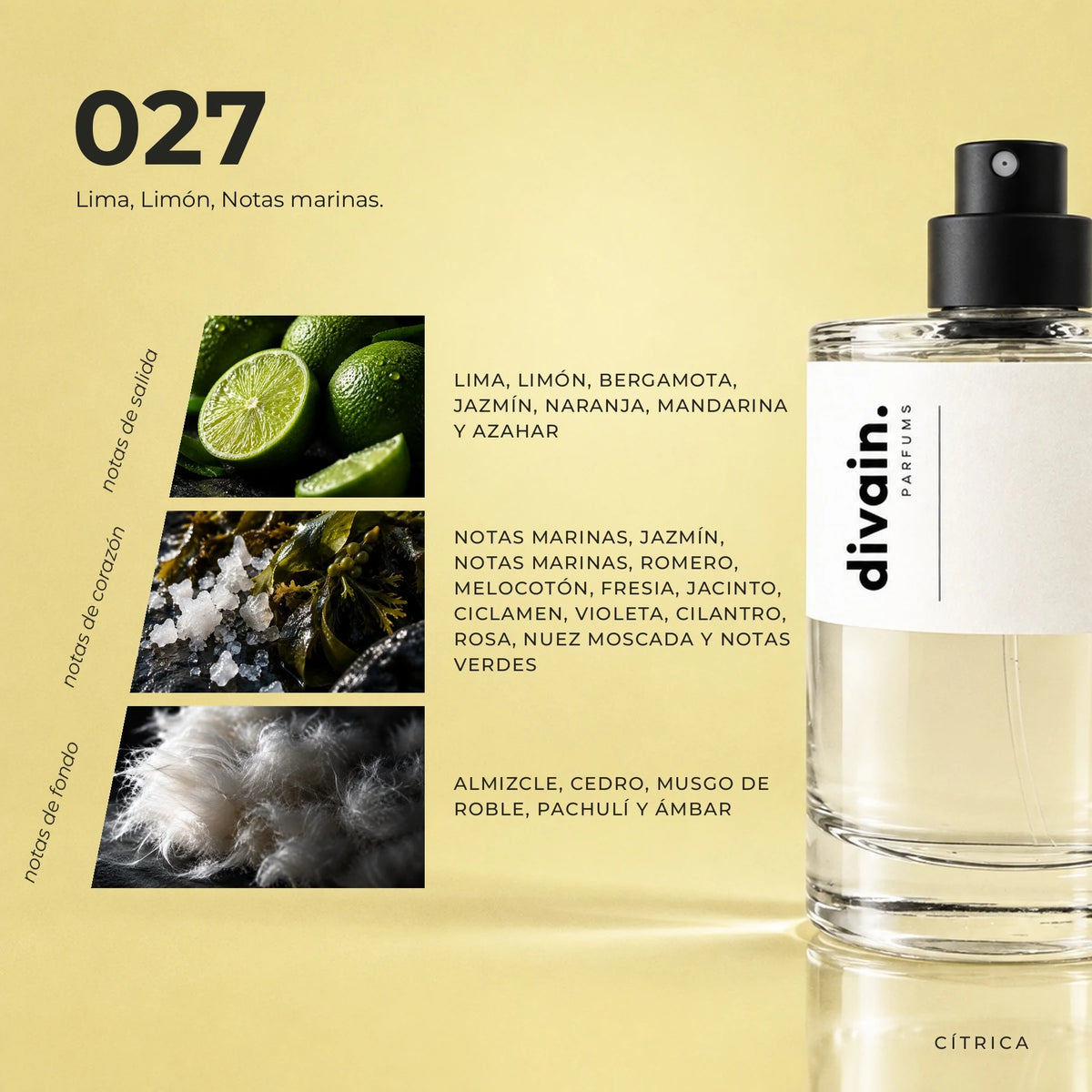 divain.027 fragrance pyramid