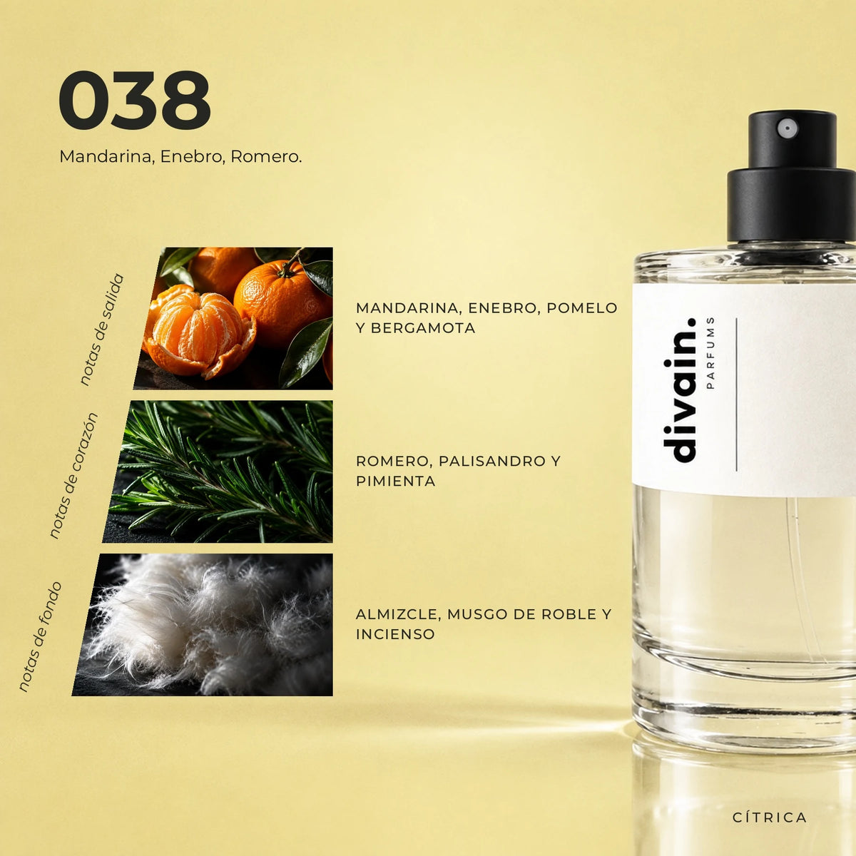 divain.038 fragrance pyramid