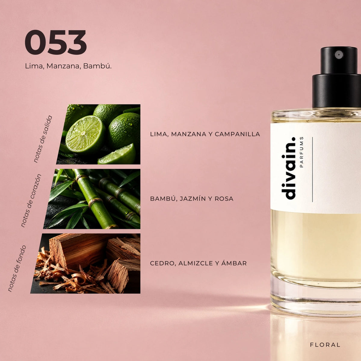 divain.053 fragrance pyramid