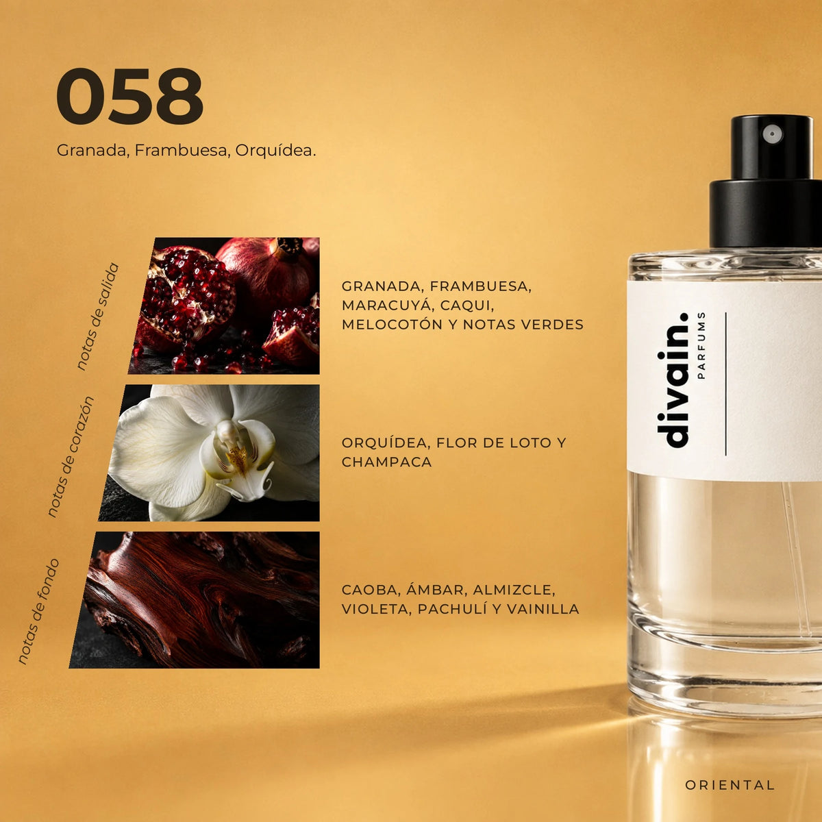 divain.058 fragrance pyramid