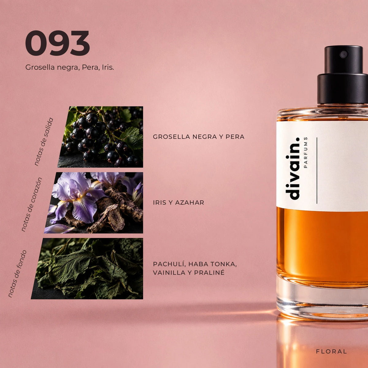 divain.093 fragrance pyramid