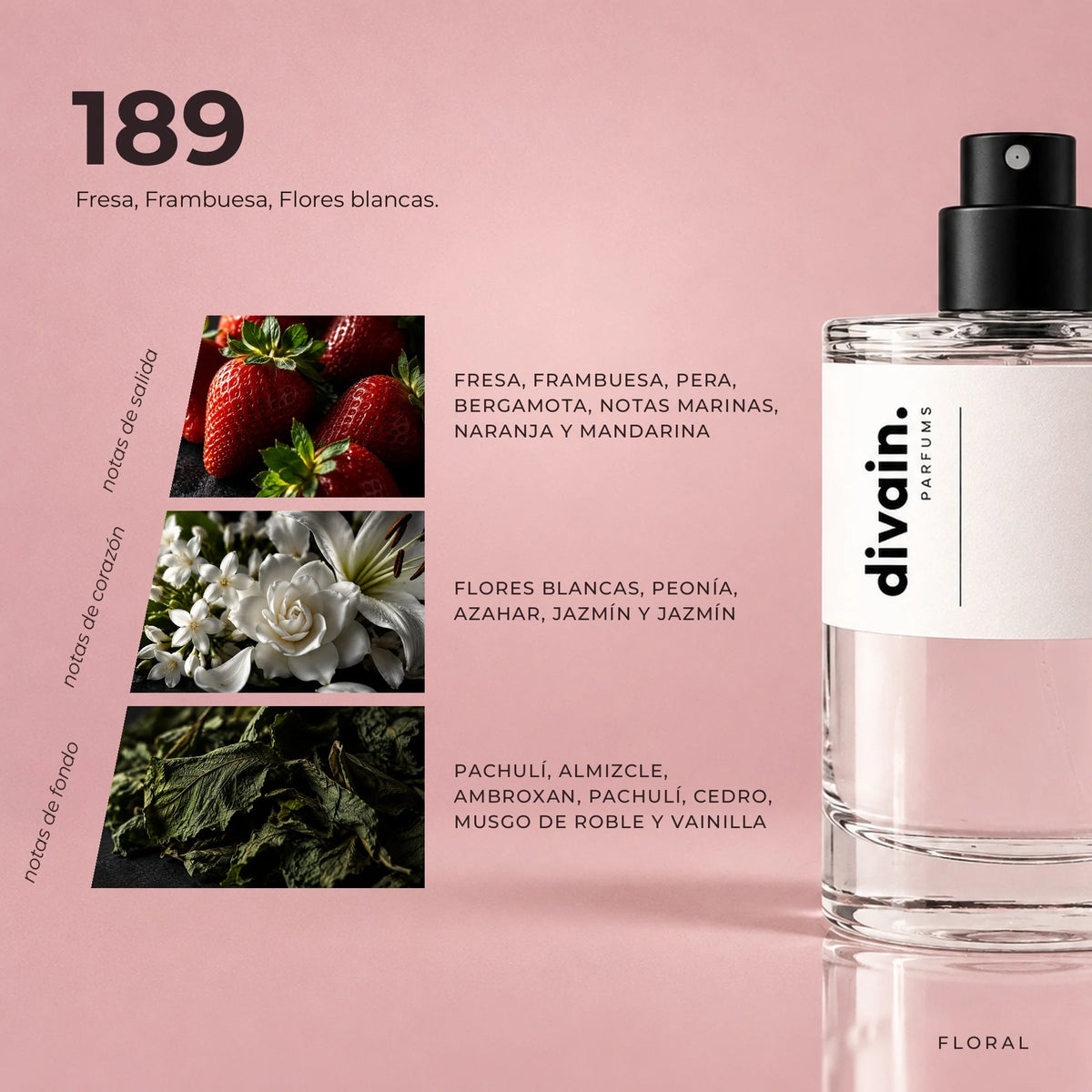 divain.189 fragrance pyramid