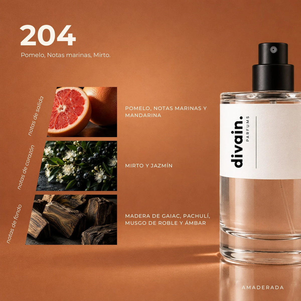 divain.204 fragrance pyramid