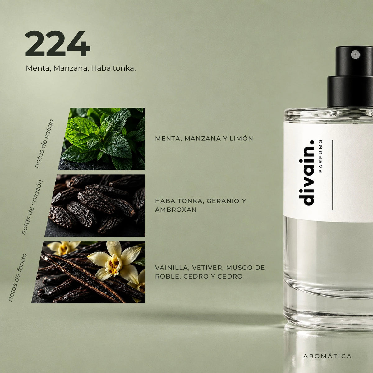 divain.224 fragrance pyramid