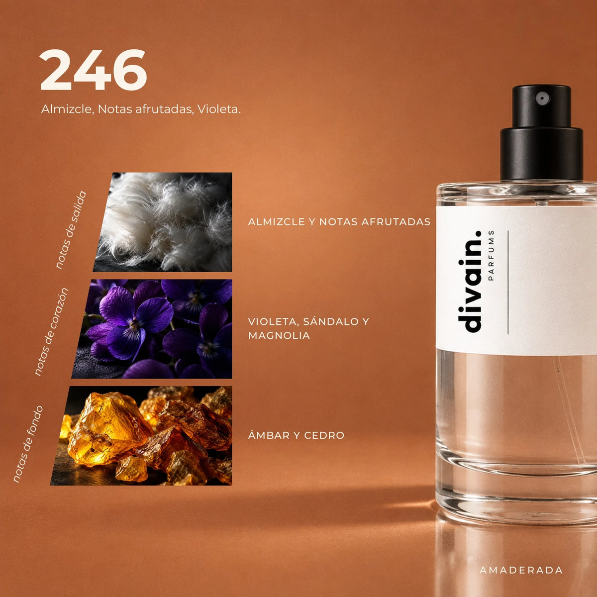 divain.246 fragrance pyramid