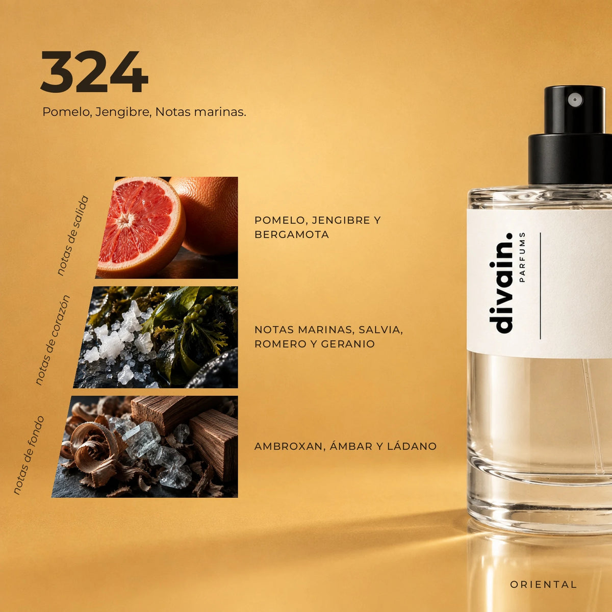 divain.324 fragrance pyramid