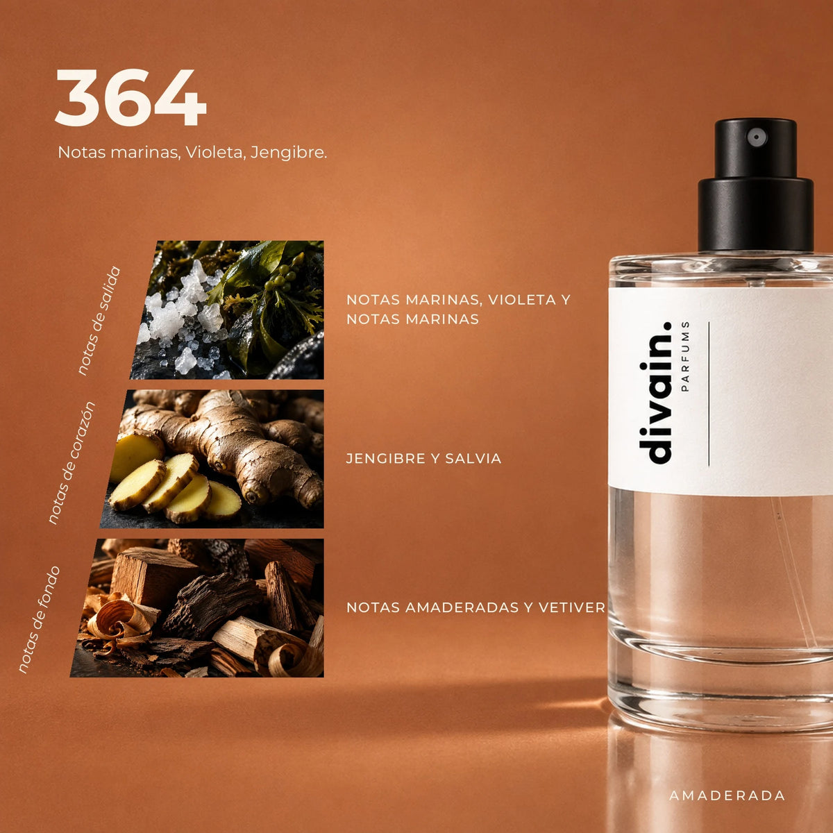 divain.364 fragrance pyramid