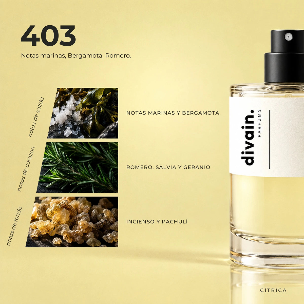 divain.403 fragrance pyramid
