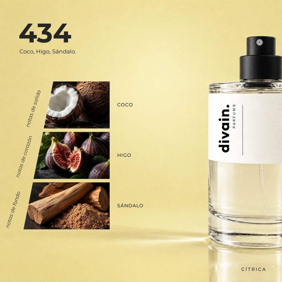 divain.434 fragrance pyramid