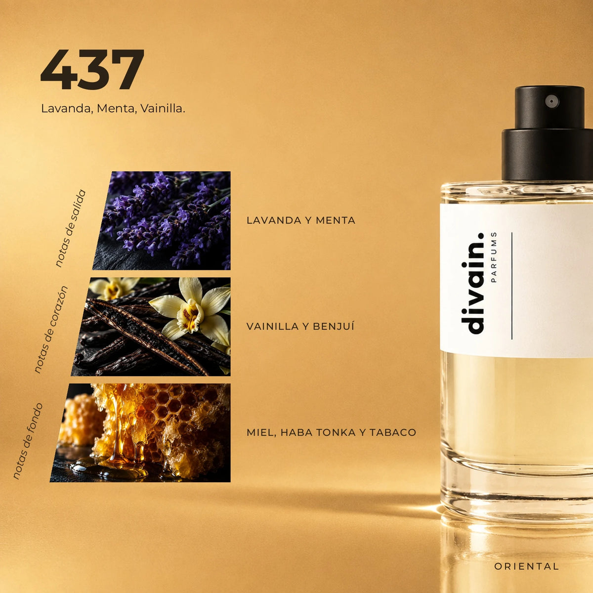 divain.437 fragrance pyramid