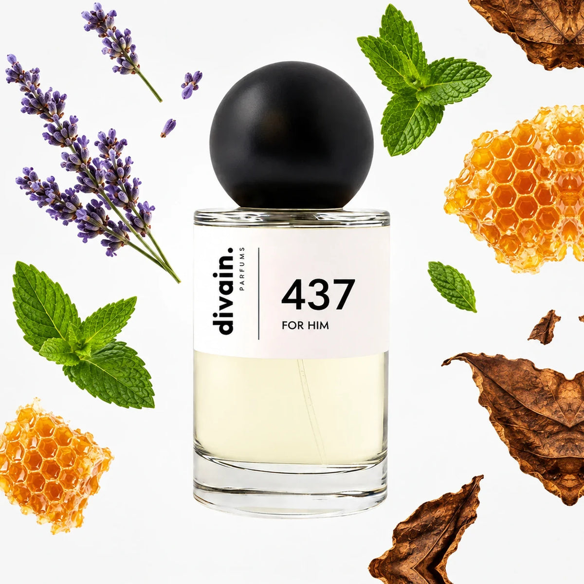 divain-437 notas
