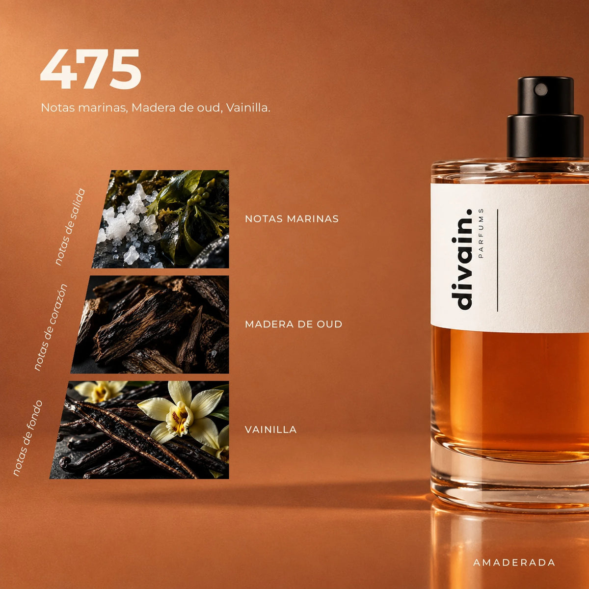 divain.475 fragrance pyramid