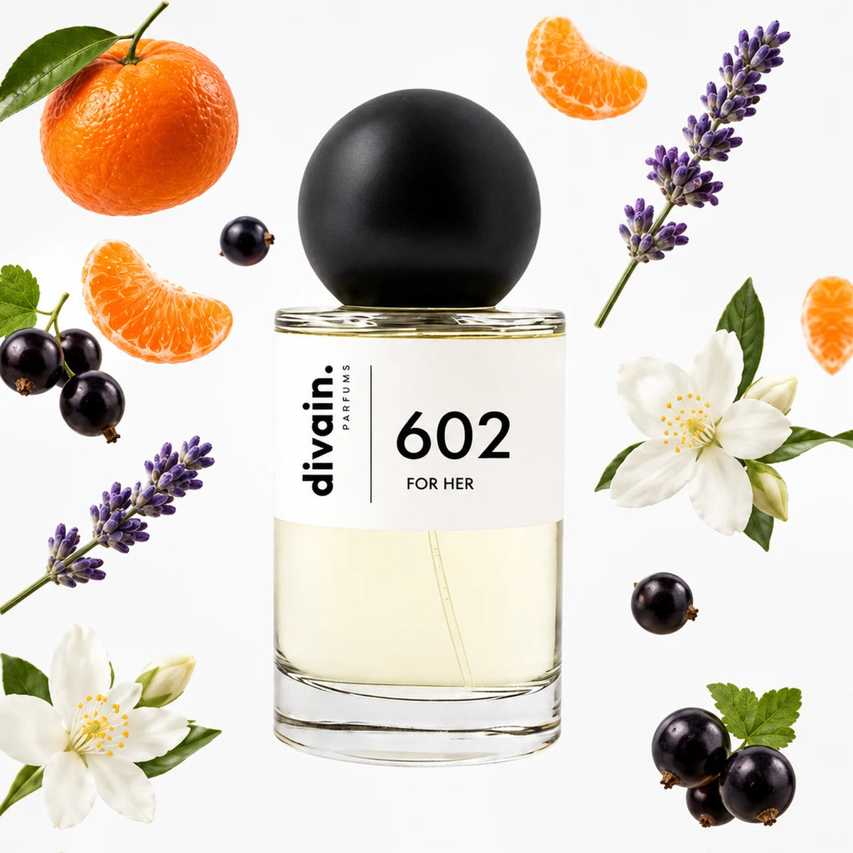divain. 602