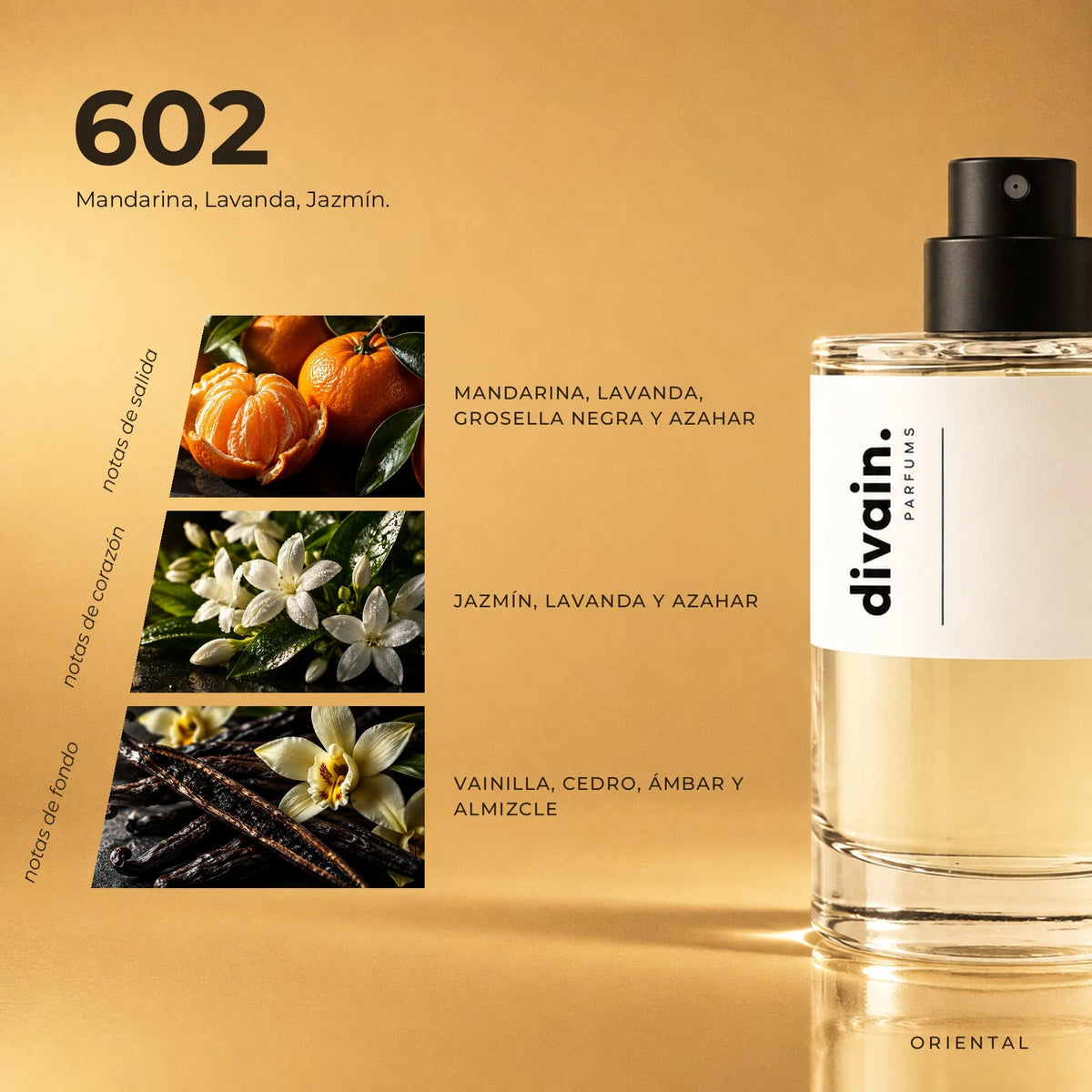 divain. 602