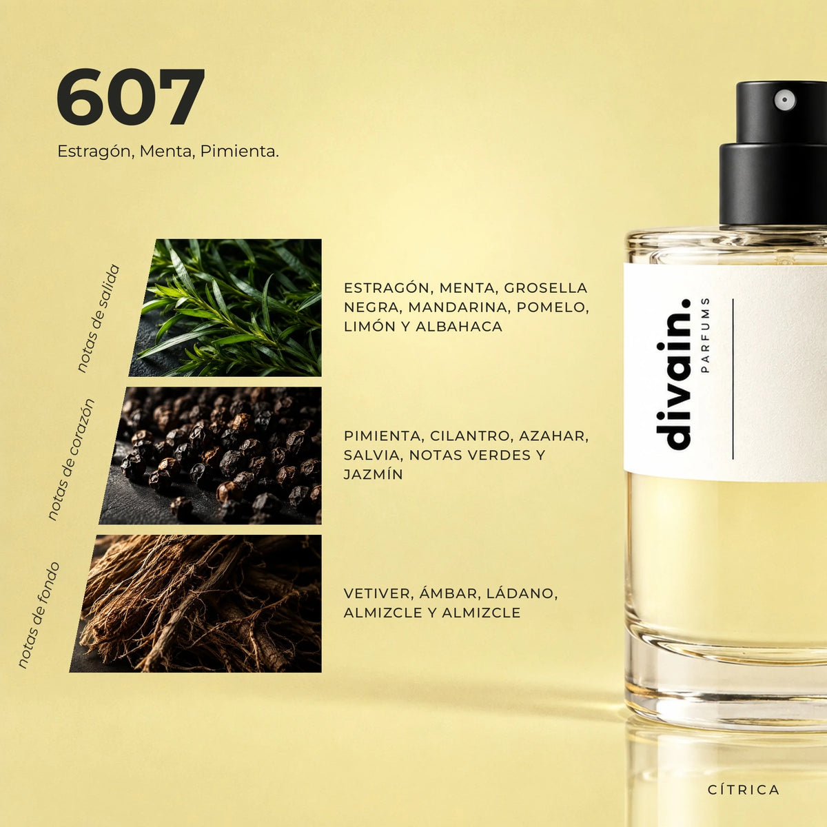 divain.607 fragrance pyramid