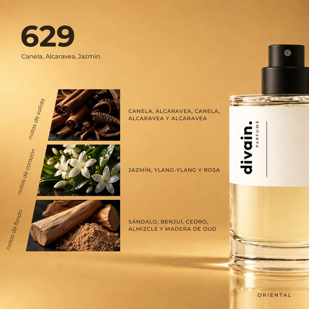 divain.629 fragrance pyramid