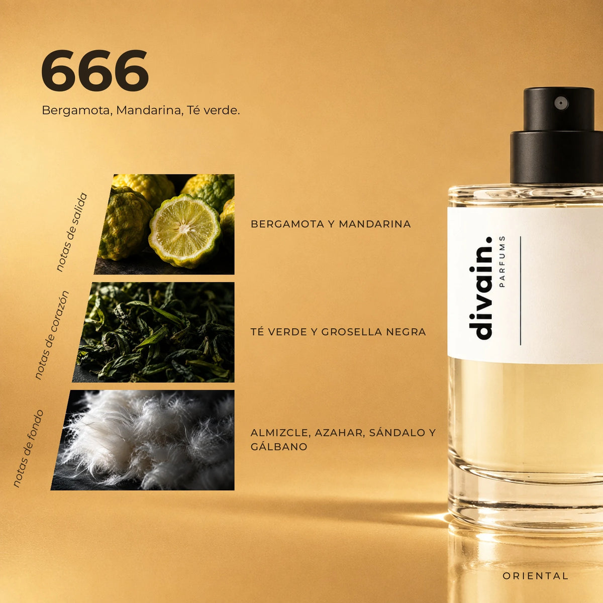 divain.666 fragrance pyramid