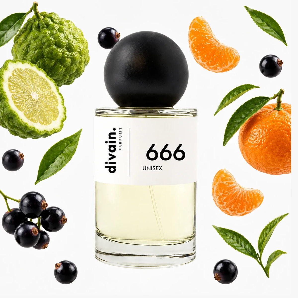 divain-666 notas