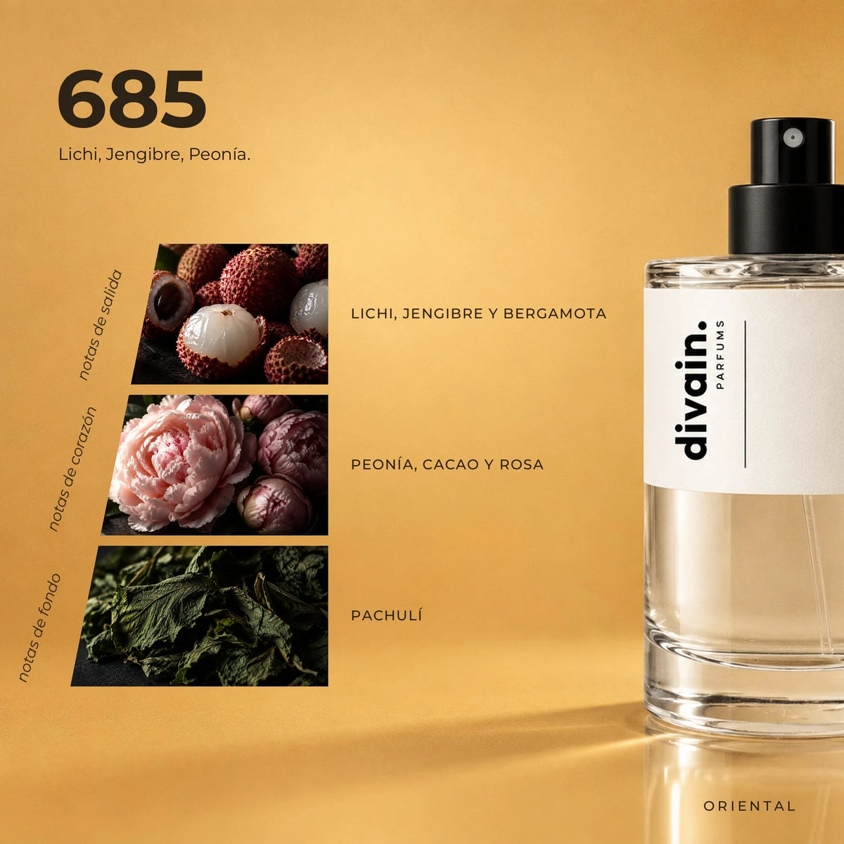 divain.685 fragrance pyramid