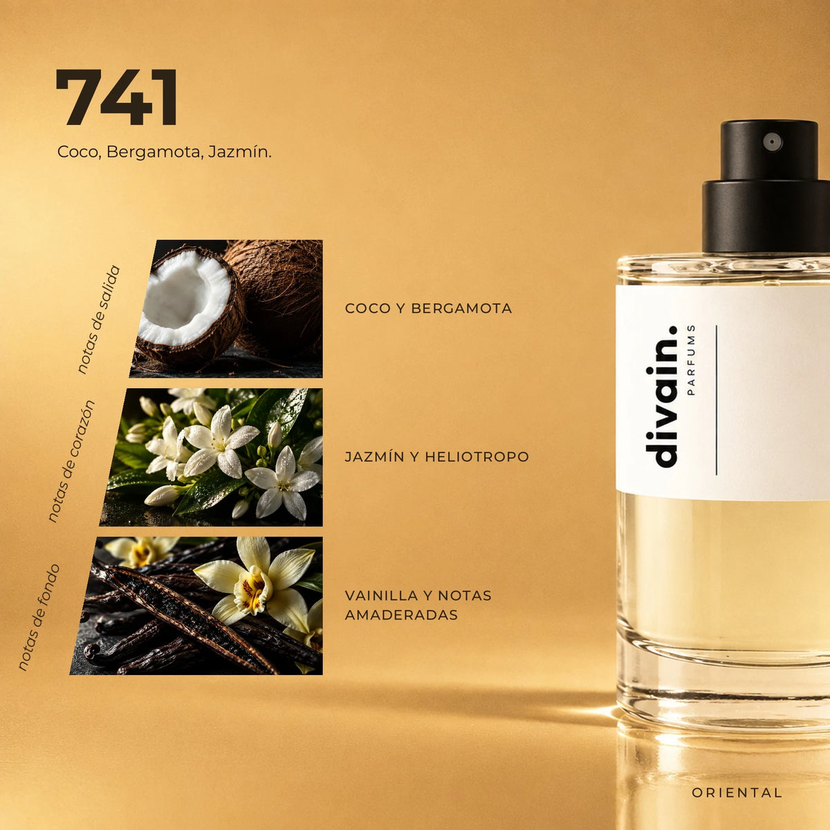 divain.741 fragrance pyramid
