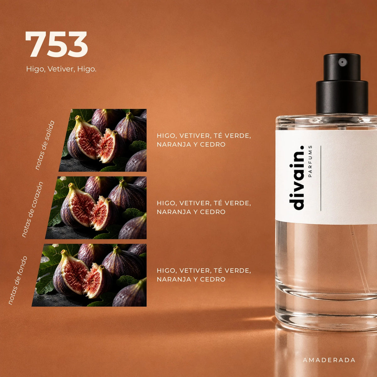 divain.753 fragrance pyramid