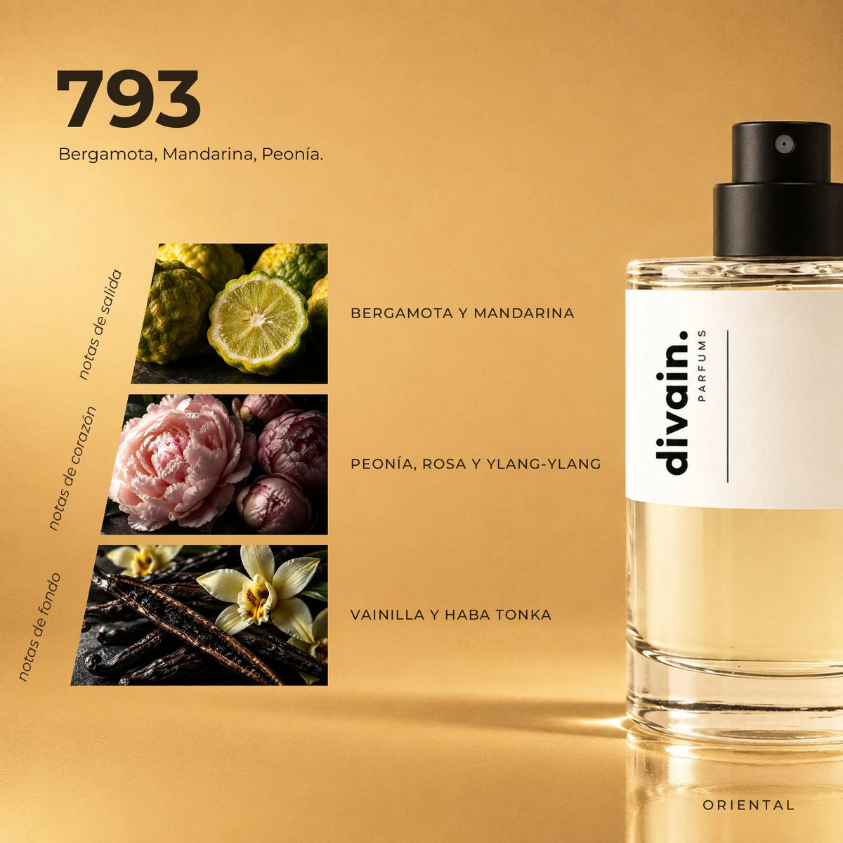 divain.793 fragrance pyramid