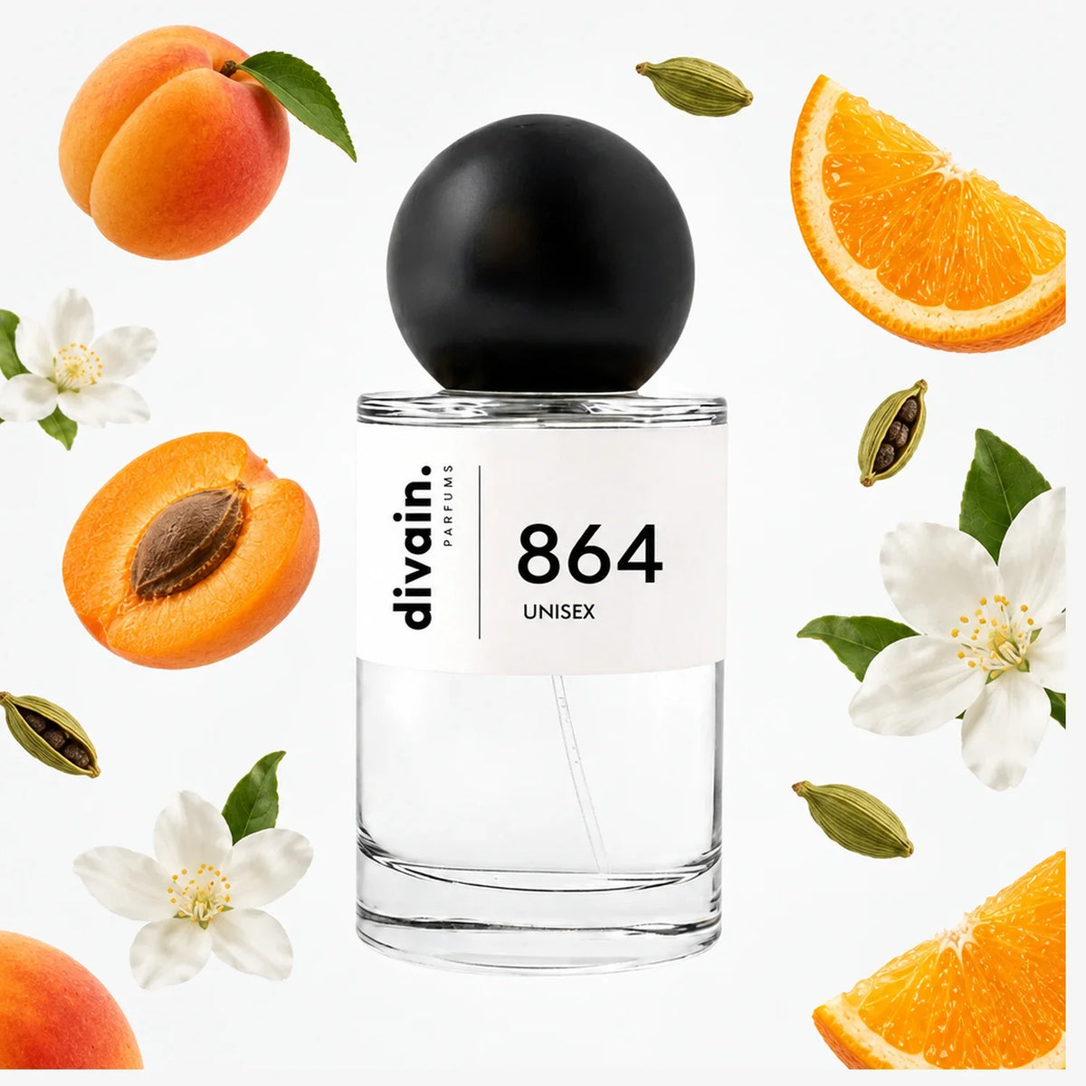 divain-864 notas