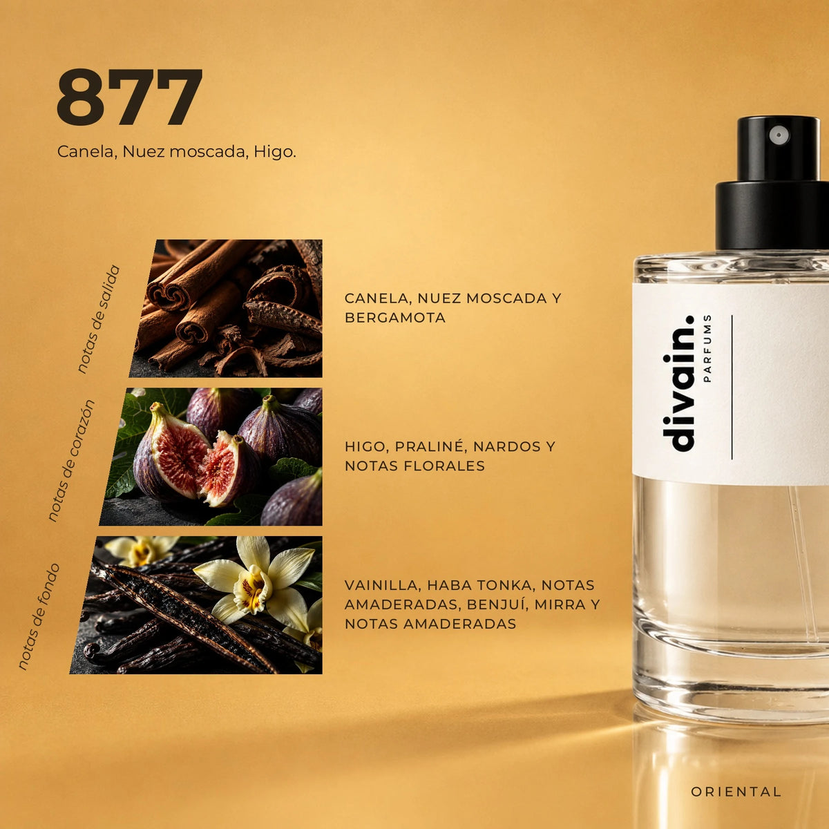 divain.877 fragrance pyramid