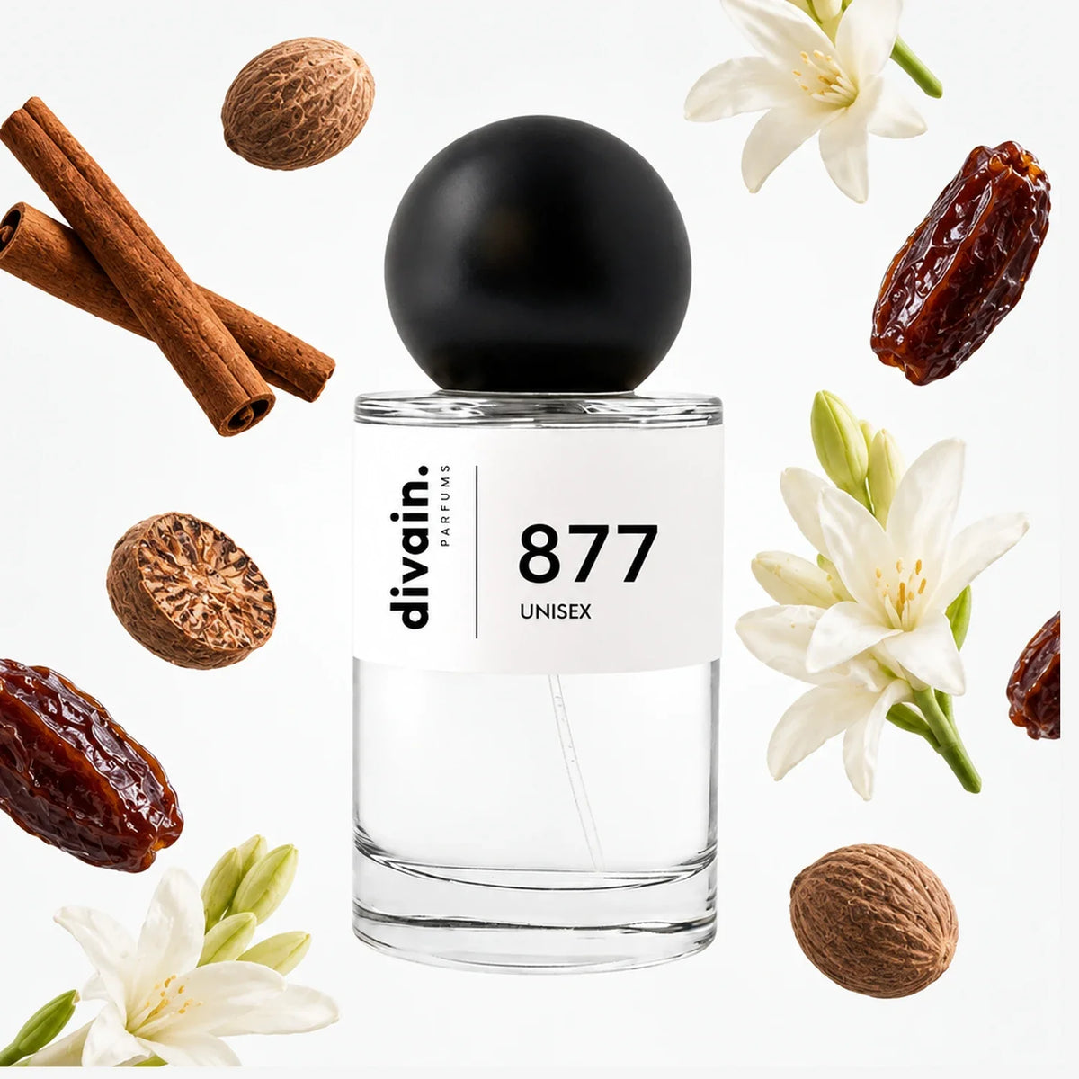 divain-877 notas