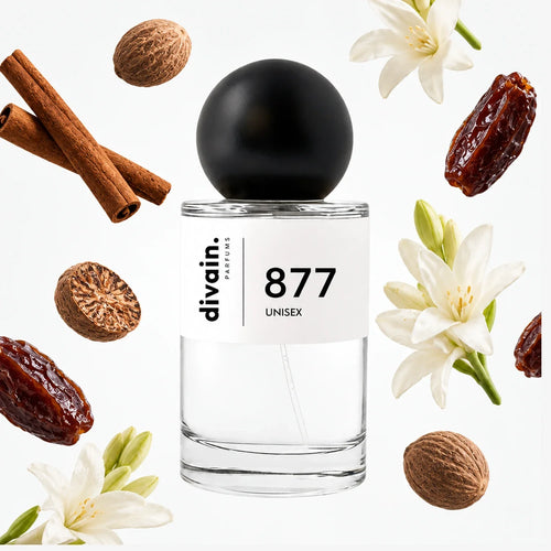 divain-877 notas