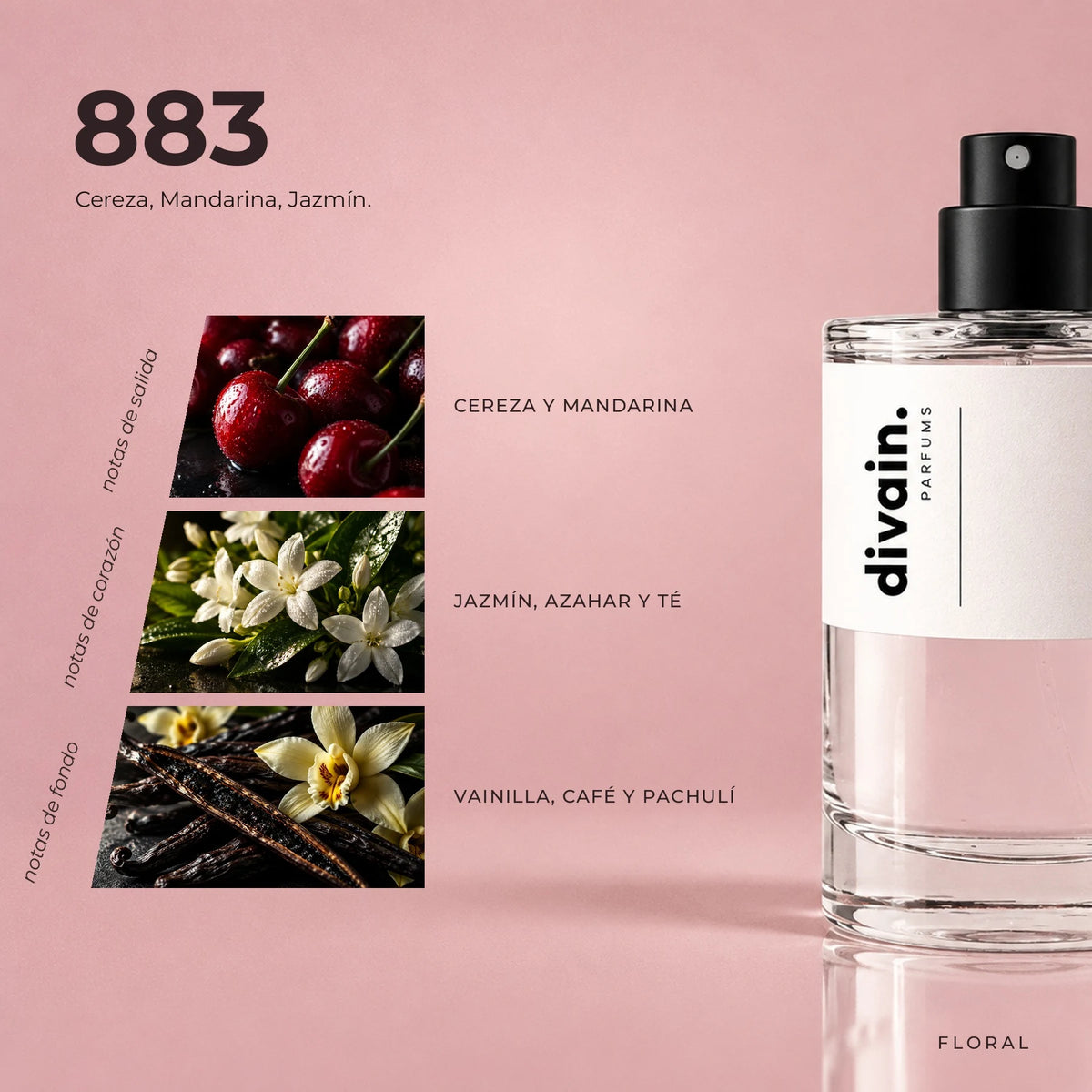 divain.883 fragrance pyramid