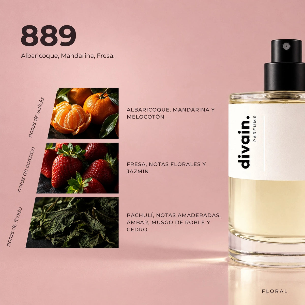 divain.889 fragrance pyramid