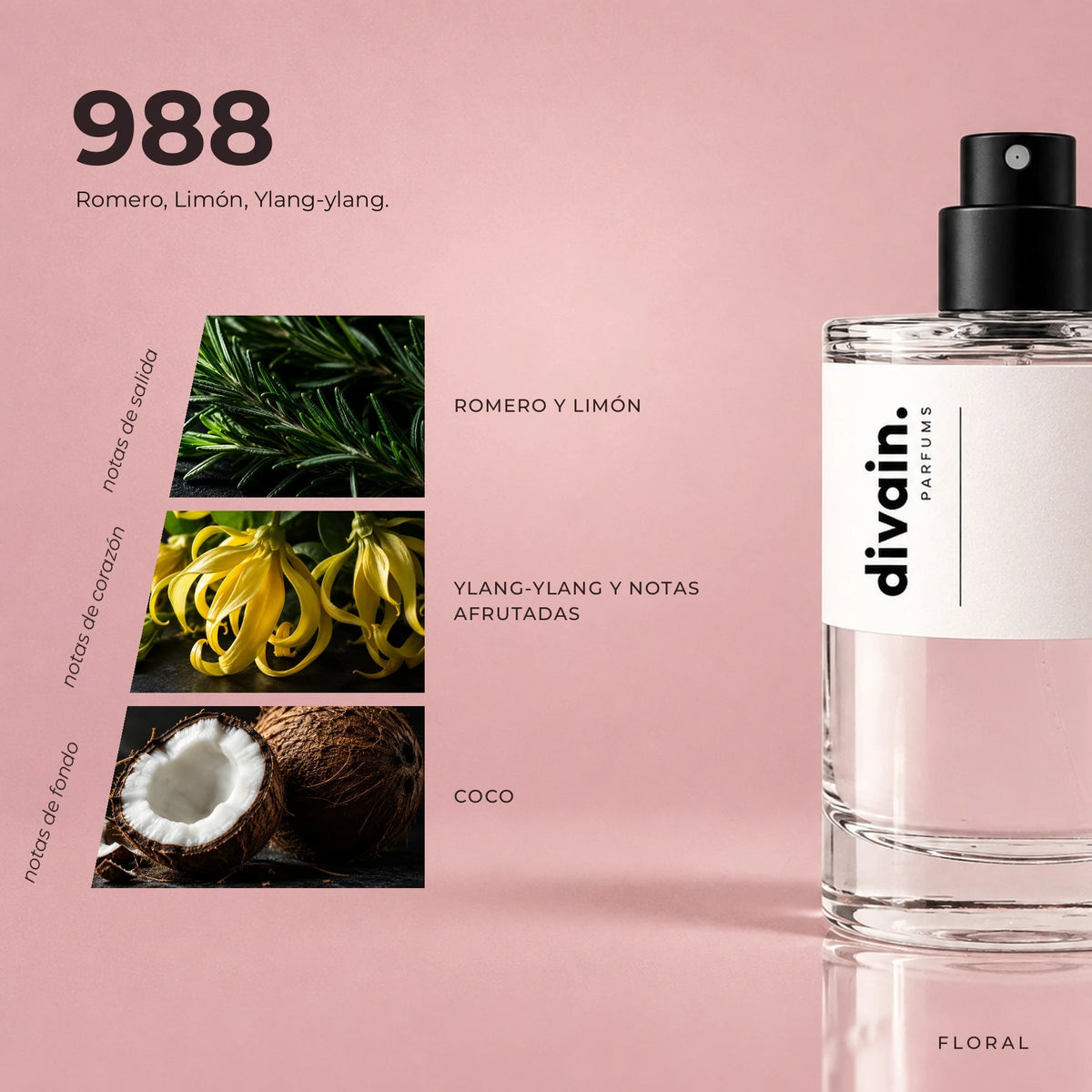 divain.988 fragrance pyramid
