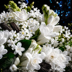 Notas olfativas del perfume divain.187