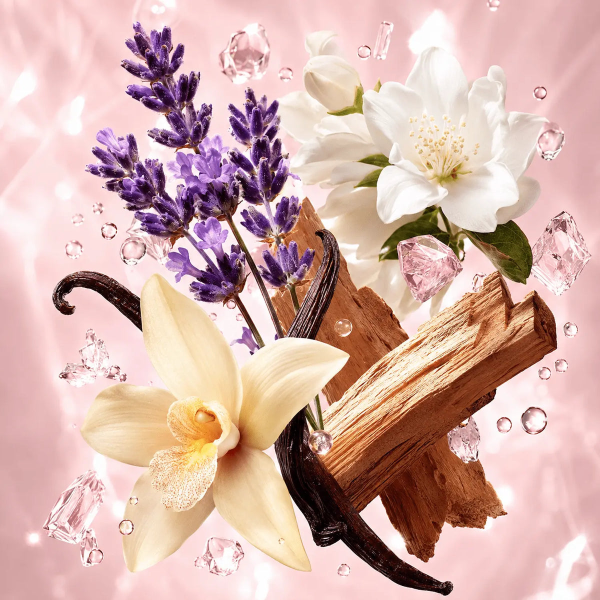 Notas olfativas del perfume divain.568