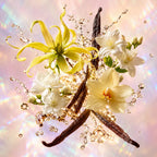 Notas olfativas del perfume divain.718