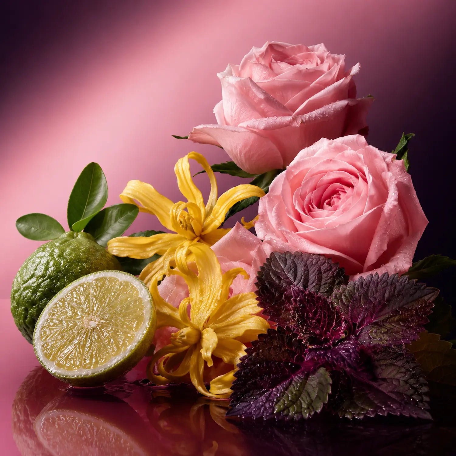 Notas olfativas del perfume divain.793 para mujer